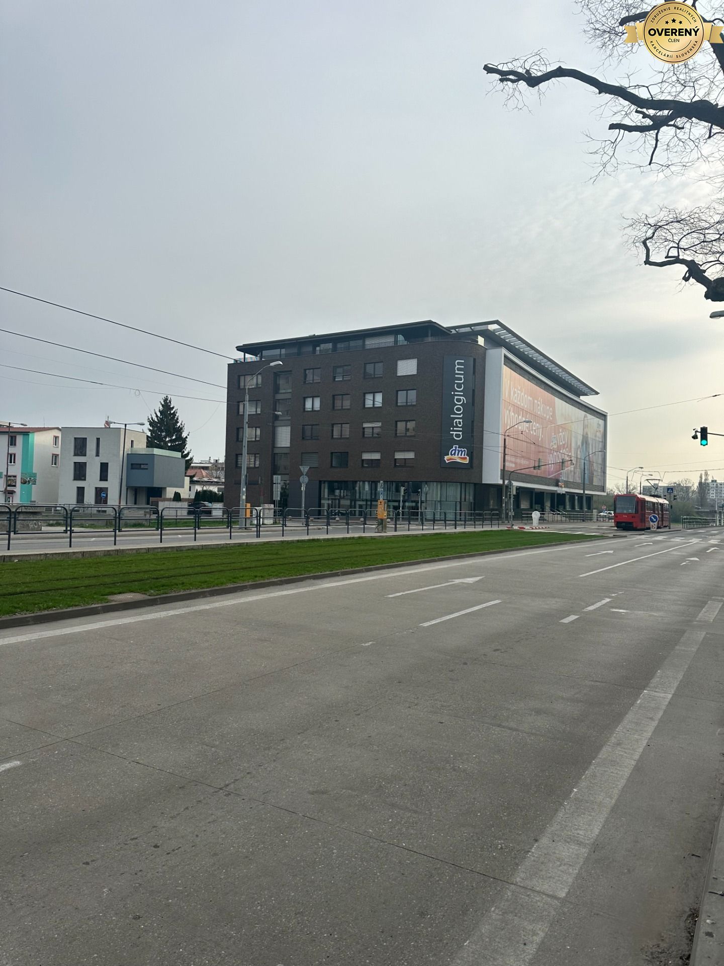 IMG_4397.jpeg